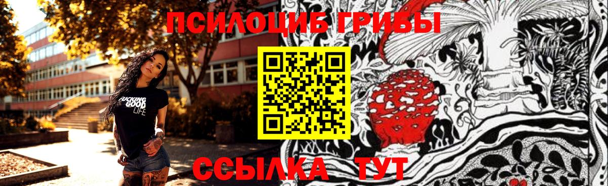 Галлюциногенные грибы мухоморы  Вход с VPN  Гудермес 