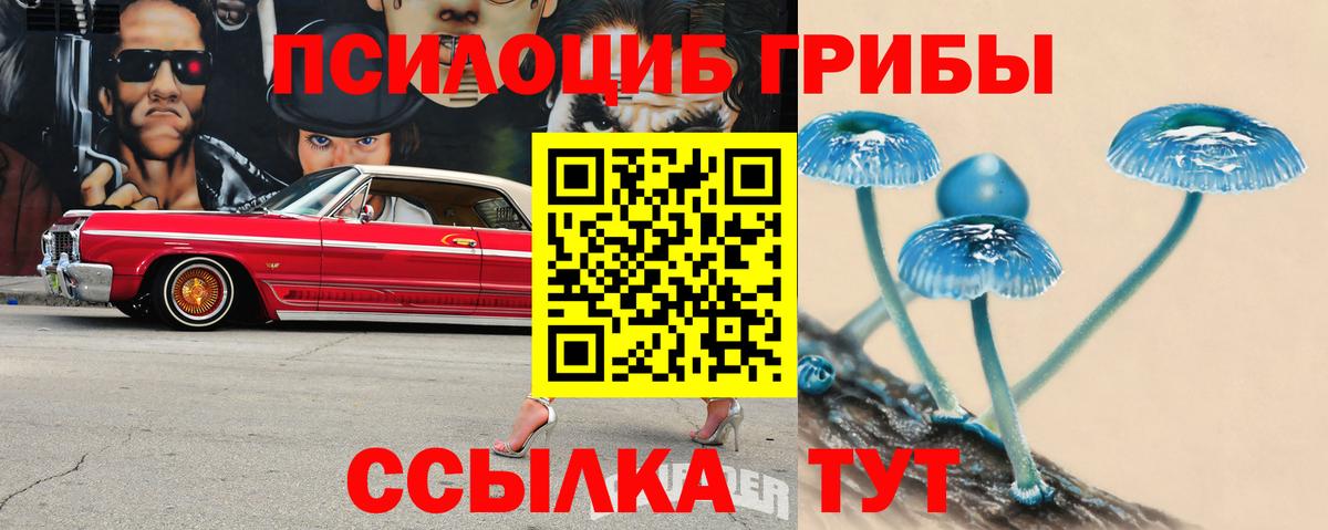 Галлюциногенные грибы прущие грибы Гудермес